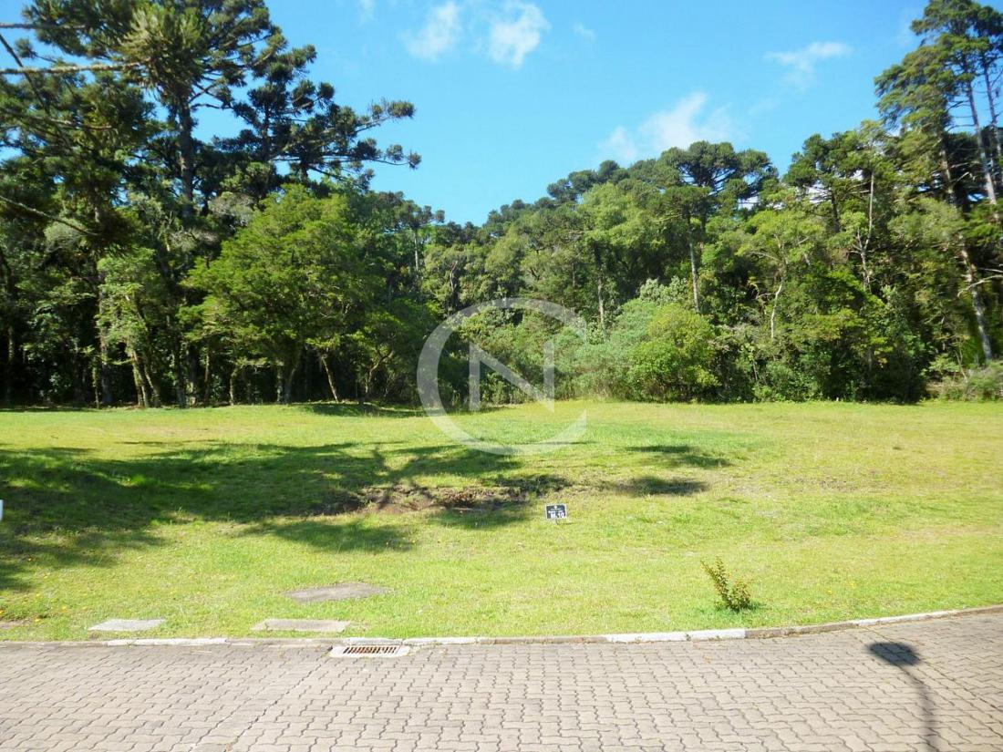TERRENO COM 1975 M² NO CENTRO DE CANELA/RS | Altos Pinheiros | Canela