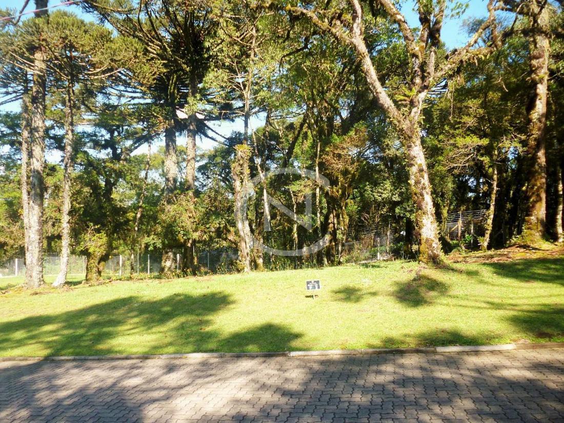 TERRENO COM 544 M² NO CONDOMÍNIO ALTOS PINHEIROS EM CANELA/RS | Altos Pinheiros | Canela