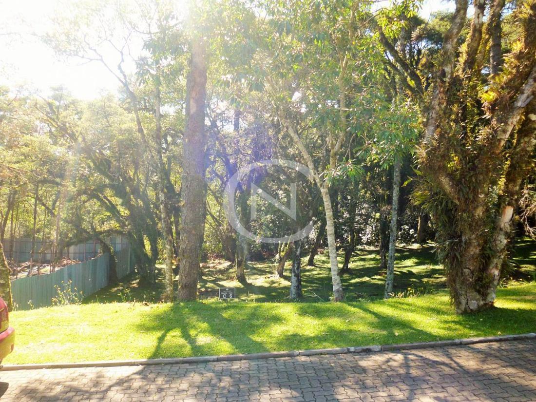 TERRENO COM 595 M² NO CONDOMÍNIO ALTOS PINHEIROS EM CANELA/RS | Altos Pinheiros | Canela