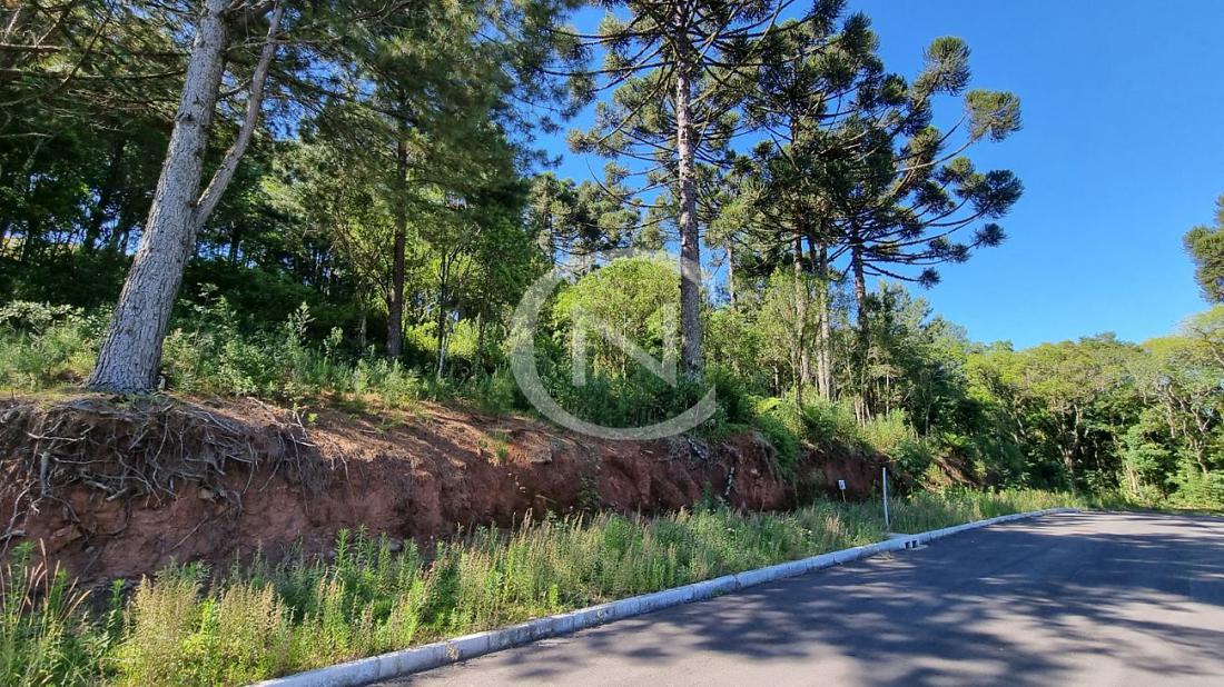 TERRENO EM GRAMADO NO LOTEAMENTO MARSAL COM 450M² | Loteamento Marsal | Gramado
