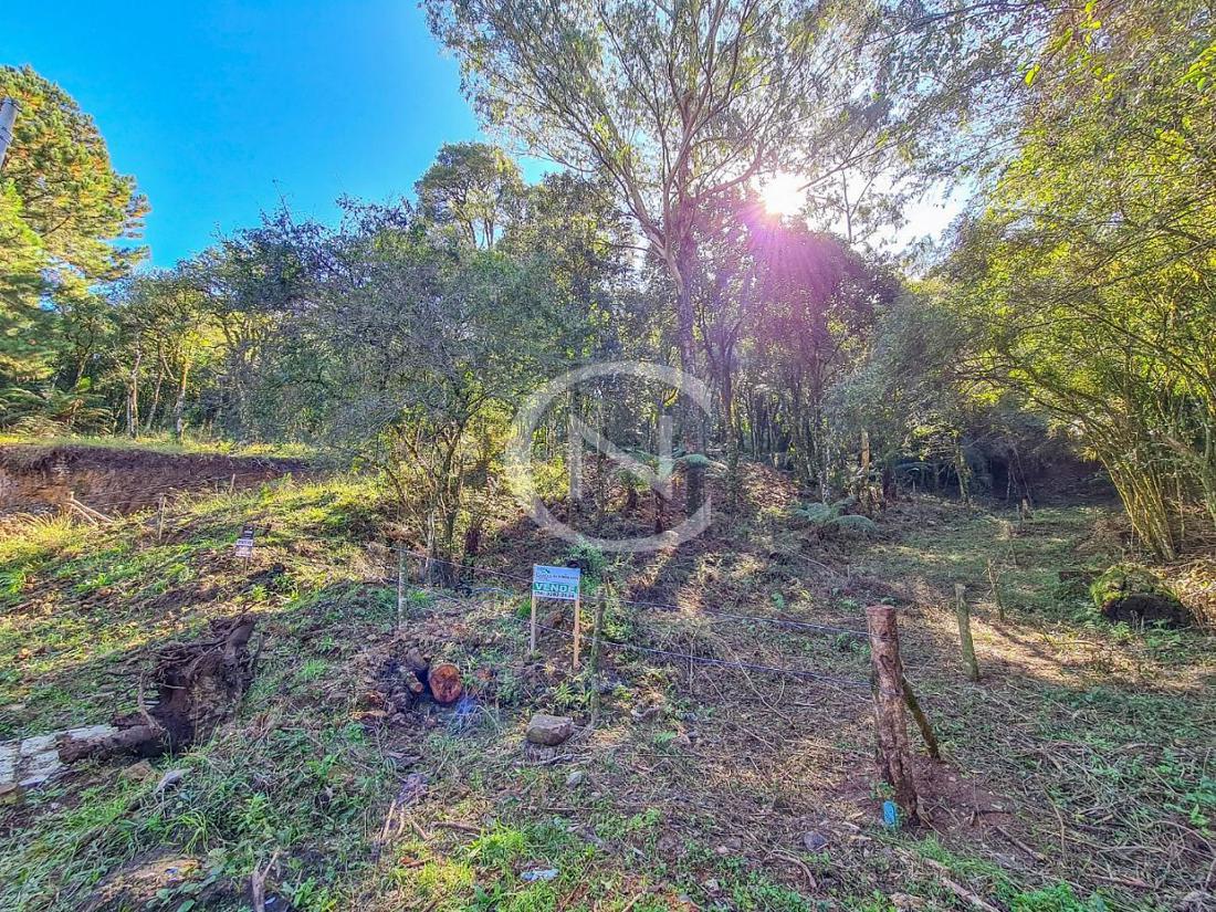 TERRENO COM 612 M² NA VILA CEDRO EM CANELA/RS | Vila Cedro | Canela