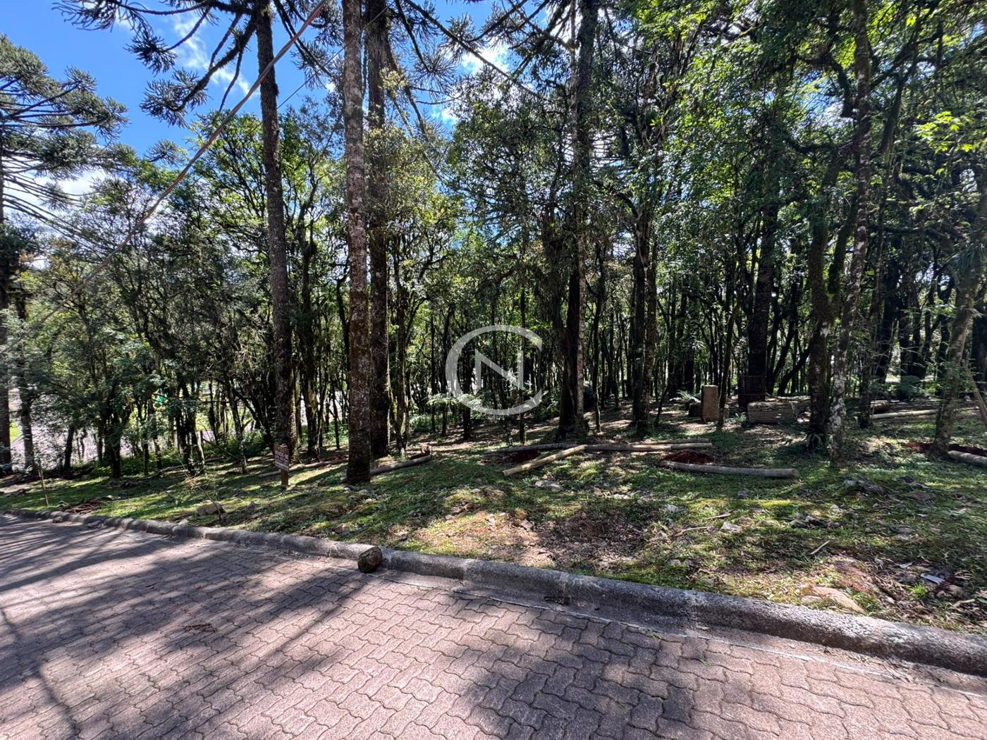 TERRENO NO CONDOMÍNIO PINHEIRO GROSSO EM CANELA/RS | Pinheiro Grosso | Canela