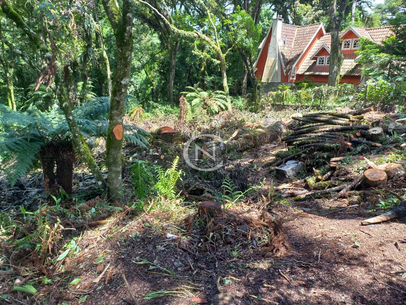 TERRENO COM PROJETO APROVADO EM CANELA/RS | Vila Suiça | Canela