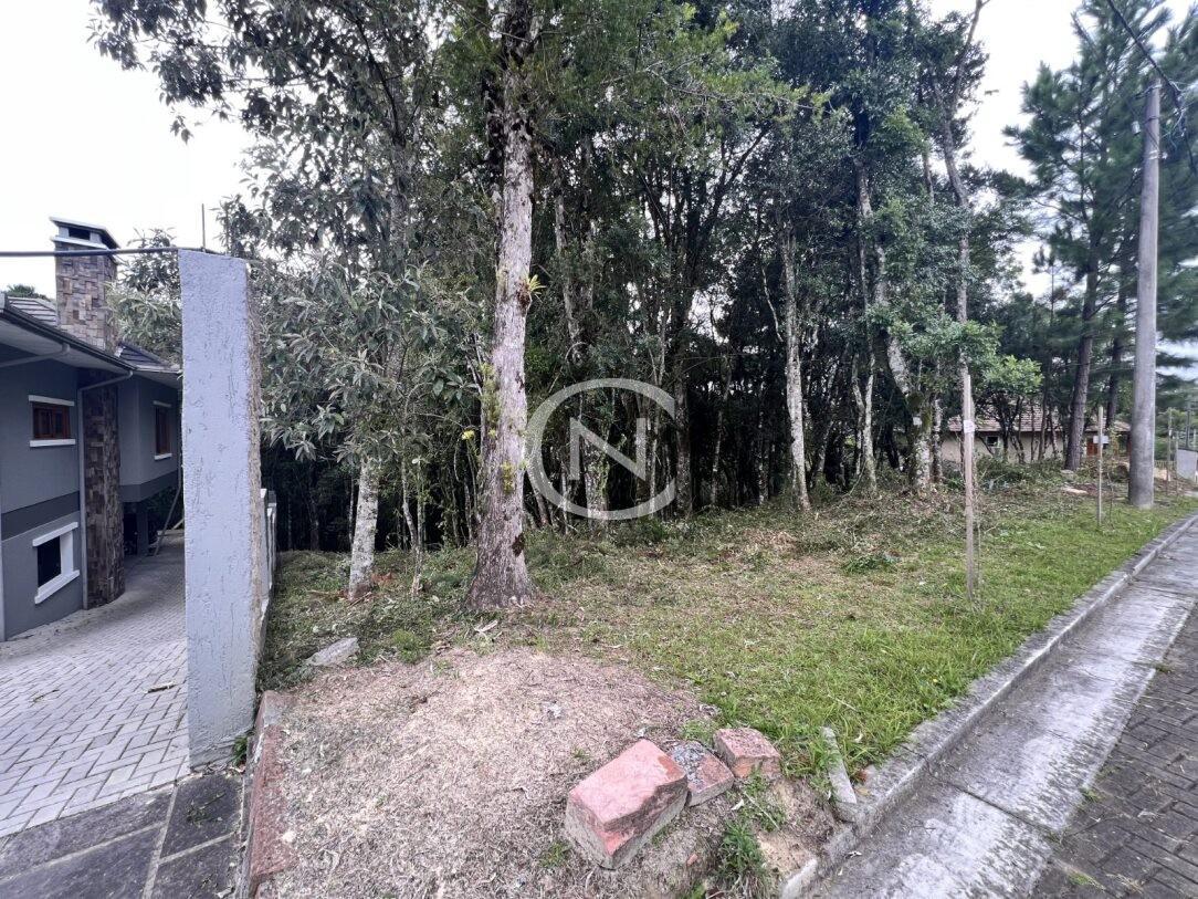 TERRENO NO VIVENDAS DO ARVOREDO EM GRAMADO/RS | Vivendas do Arvoredo | Gramado