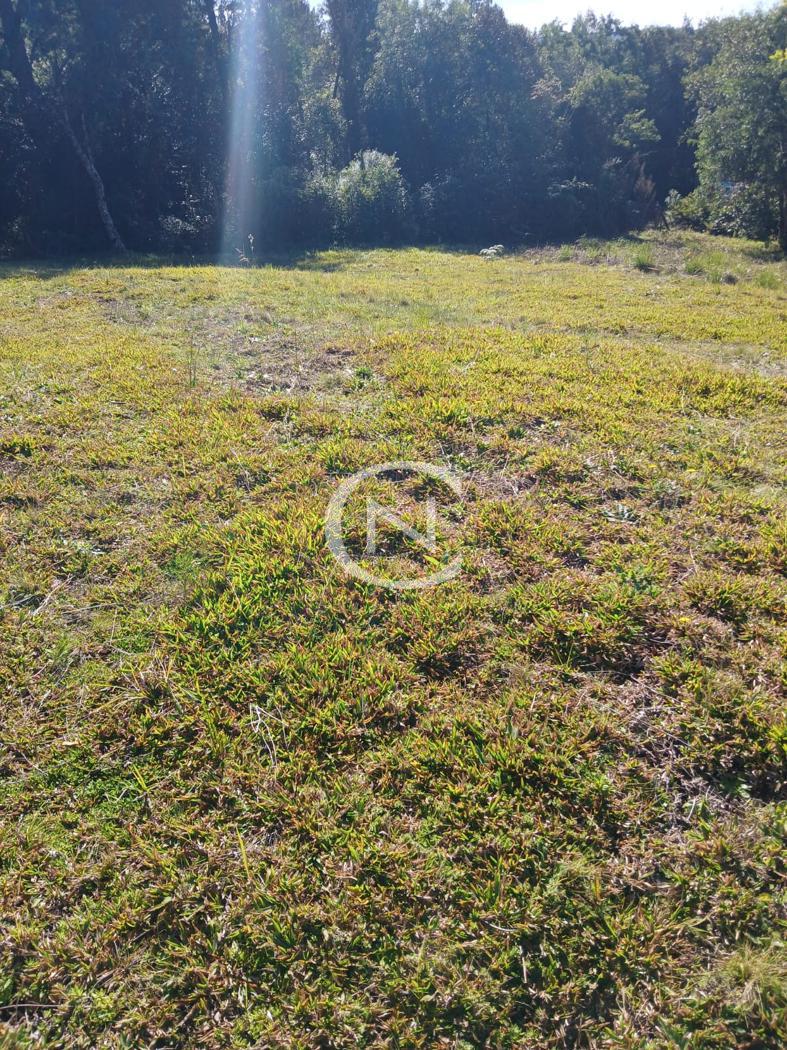 TERRENO NO VIVENDAS DO ARVOREDO EM GRAMADO/RS | Carniel | Gramado