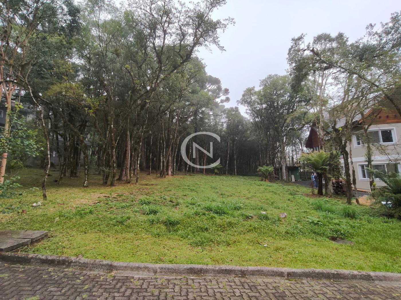 TERRENO NO PINHEIRO GROSSO EM CANELA/RS | Pinheiro Grosso | Canela