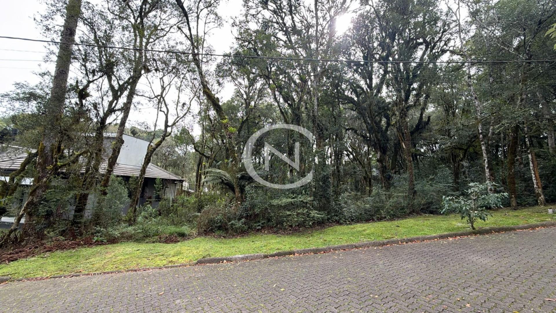 TERRENO A VENDA NO PINHEIRO GROSSO DE 771M² CANELA | Pinheiro Grosso | Canela