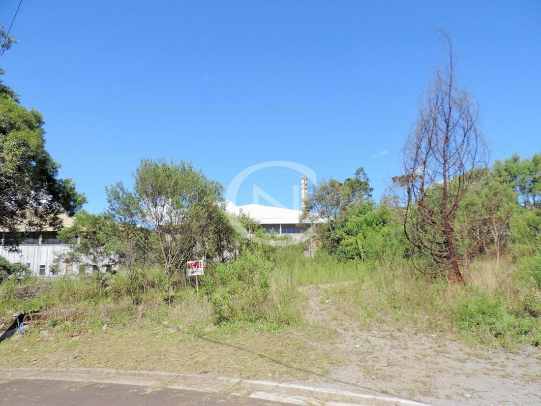 Terreno com 802 m² no Vivendas do Parque em Gramado/RS | Vivendas do Parque | Gramado