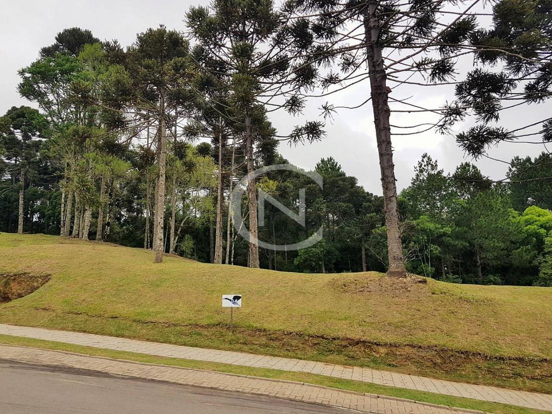 Terreno com 1000 m² no Condomínio Laken em Gramado/RS | Laken | Gramado