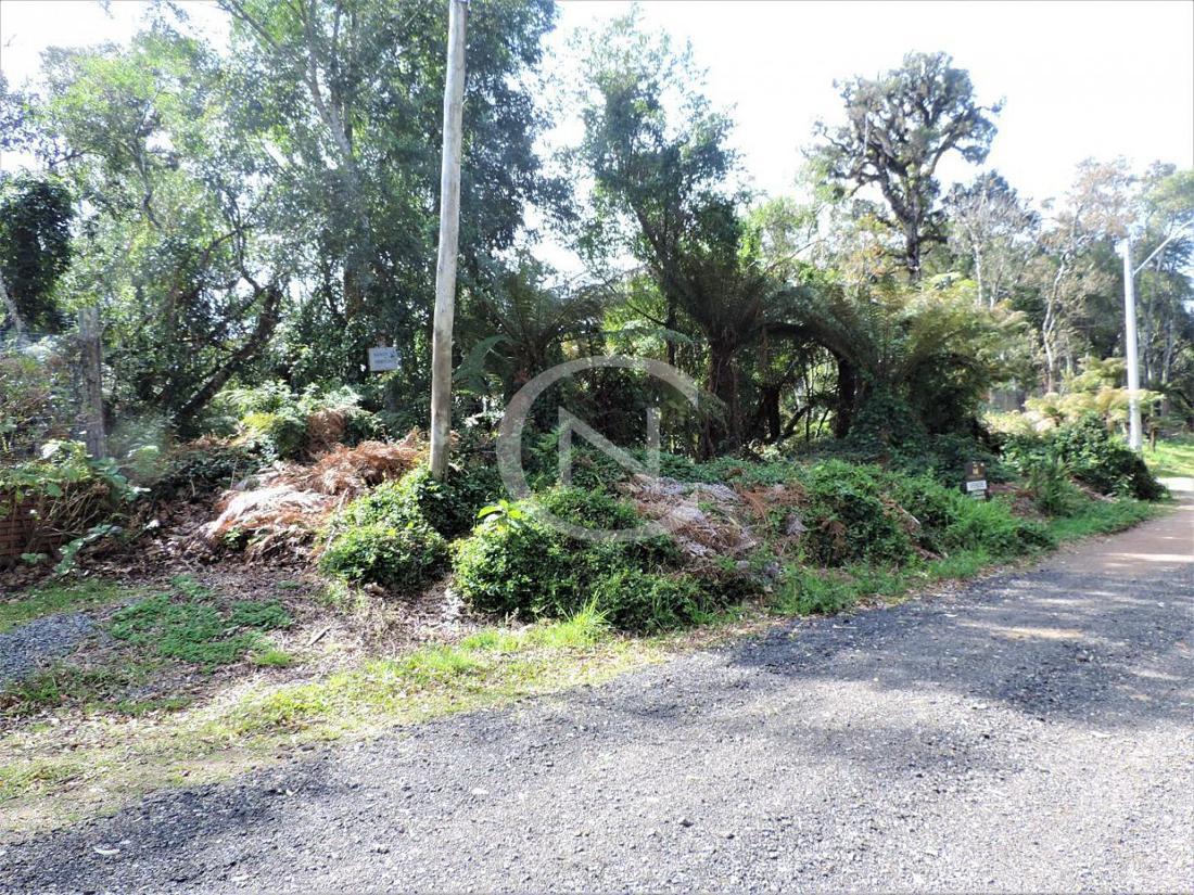 TERRENO COM 838 M² NO ALPES VERDES EM CANELA/RS | Alpes Verdes | Canela